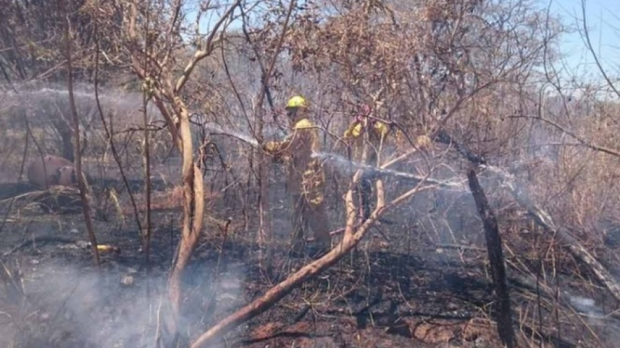 387 incendios forestales en lo que va del año en Jalisco