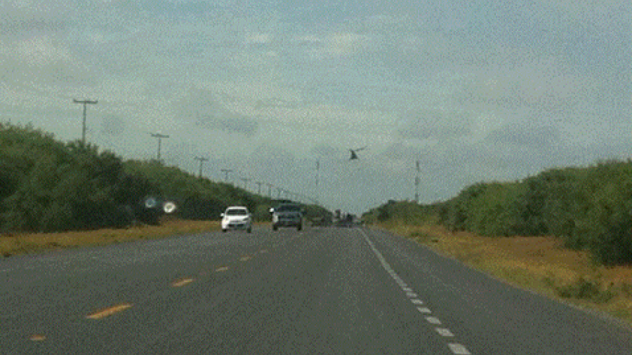 Es Reynosa - San Fernando el tramo más peligroso: PF