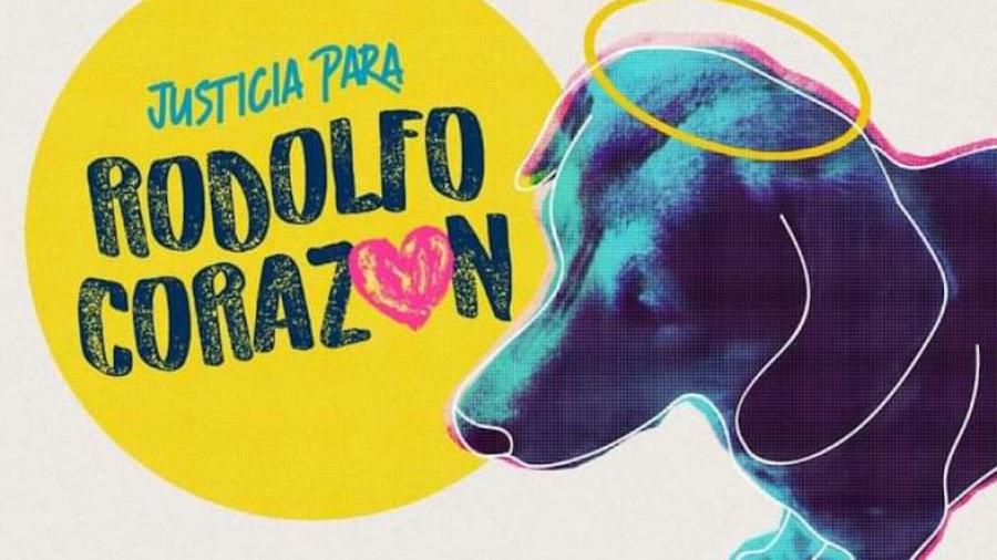 #JusticiaParaRodolfo: Hombre mata a perrito a machetazos en los Mochis 