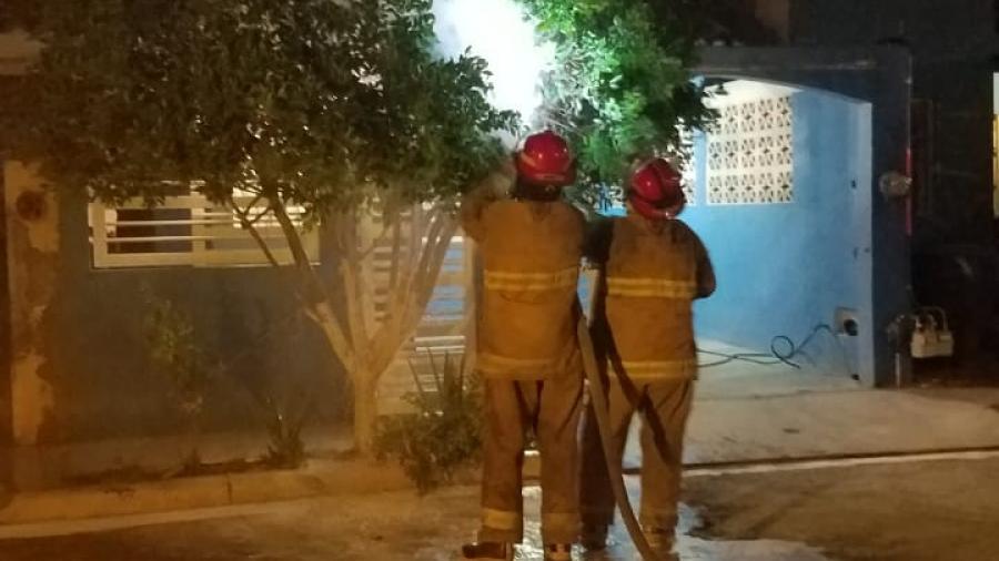 Recomienda Gobierno Municipal no destruir enjambres de abejas
