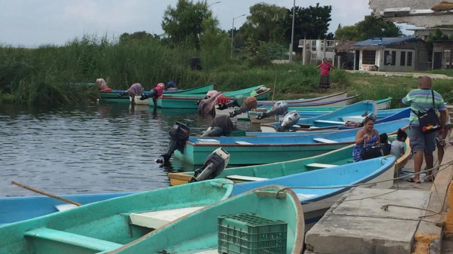 Afecta pez diablo la producción pesquera en lagunas del Sur