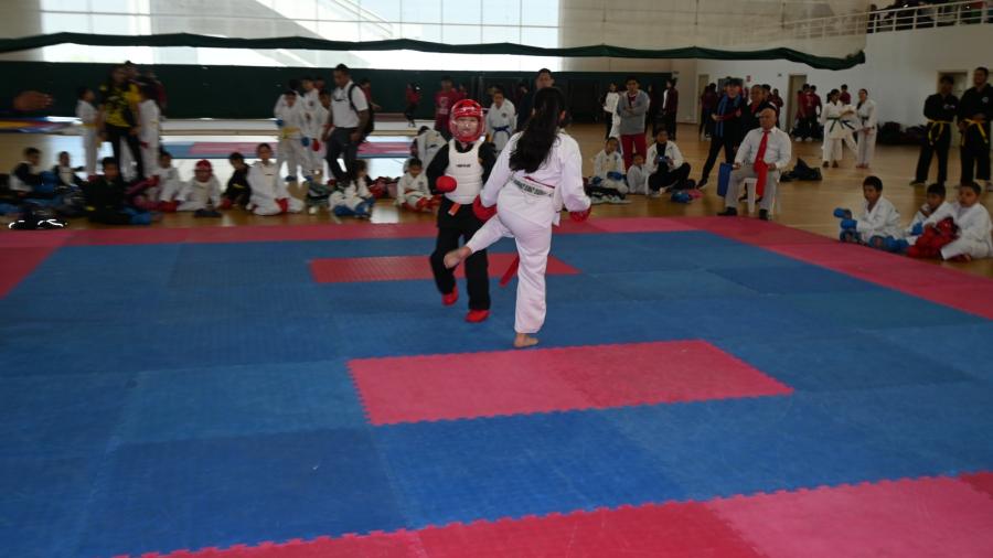 Reynosa Imparable en karate