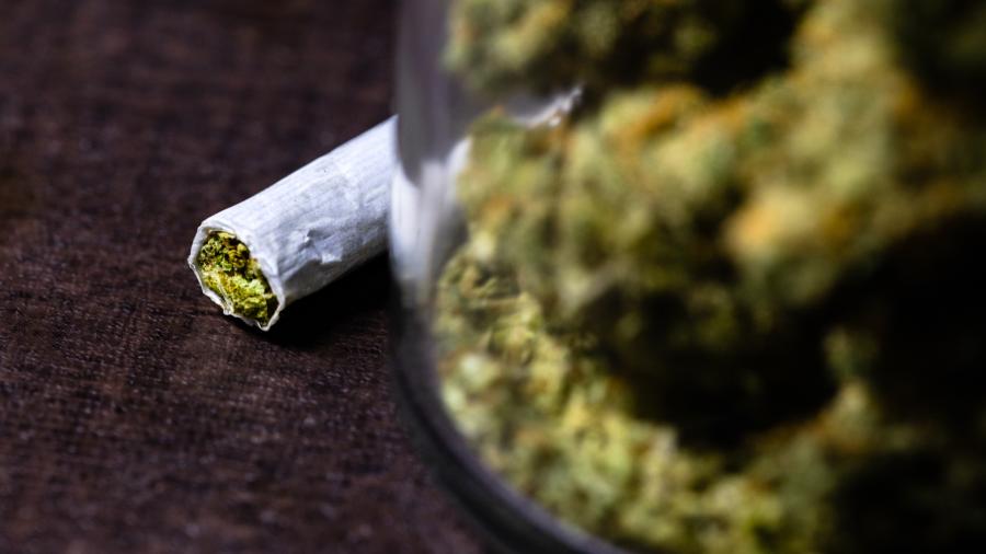 Ricardo Monreal promete abordar regularización de cannabis en febrero