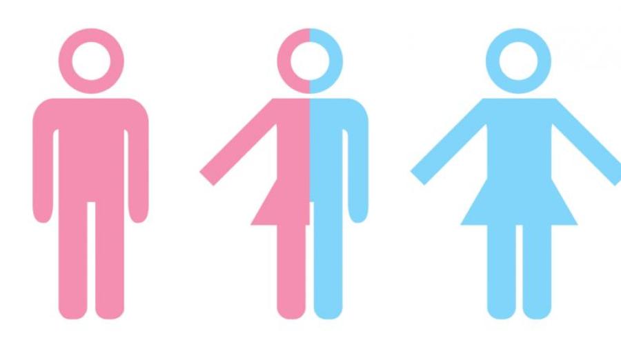 Holanda incluye "género neutro" en el registro civil
