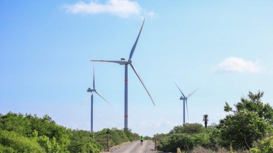 Tamaulipas aspira a ser el principal estado productor de energía eólica del país: secretario de Energía
