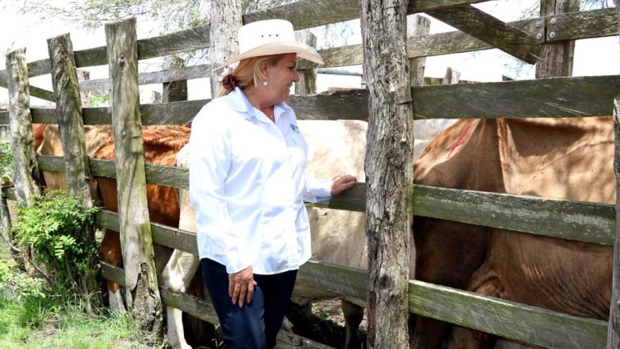 Gobierno de Alma Laura Amparán en apoyo del sector rural