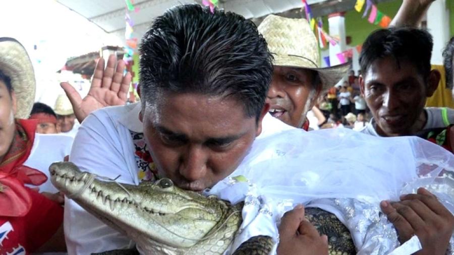 Alcalde se casa con caimán en Oaxaca