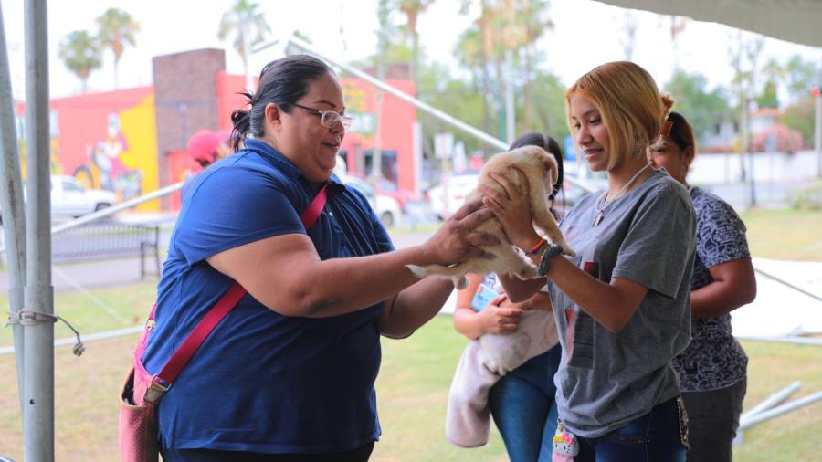 Acogen familias a 29 mascotas durante la feria de la adopción 