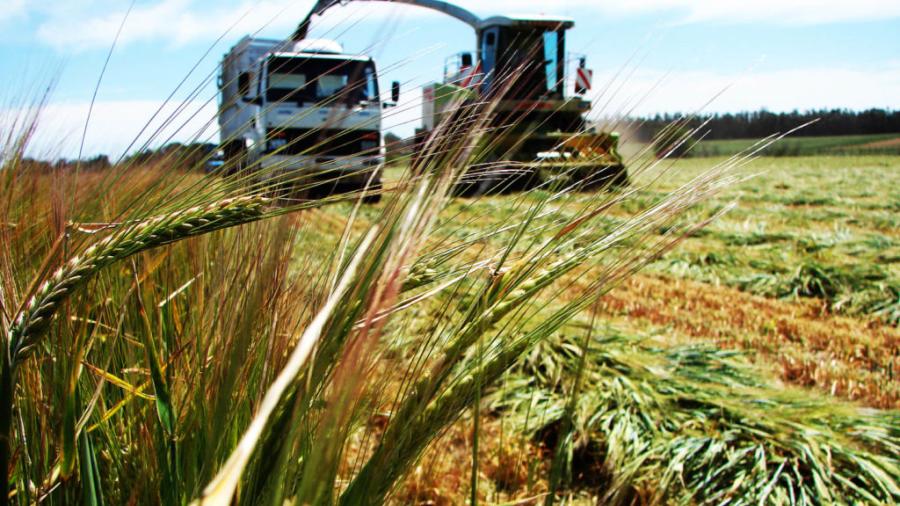 EU prepara misión comercial agrícola a México por T-MEC