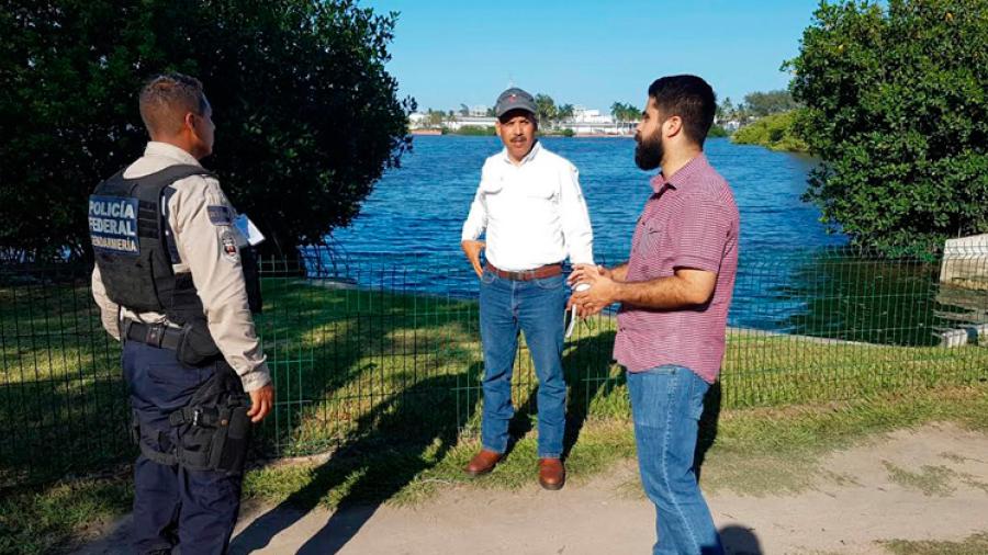 Profepa investiga el maltrato y muerte que sufrió una Nutria de Mar 