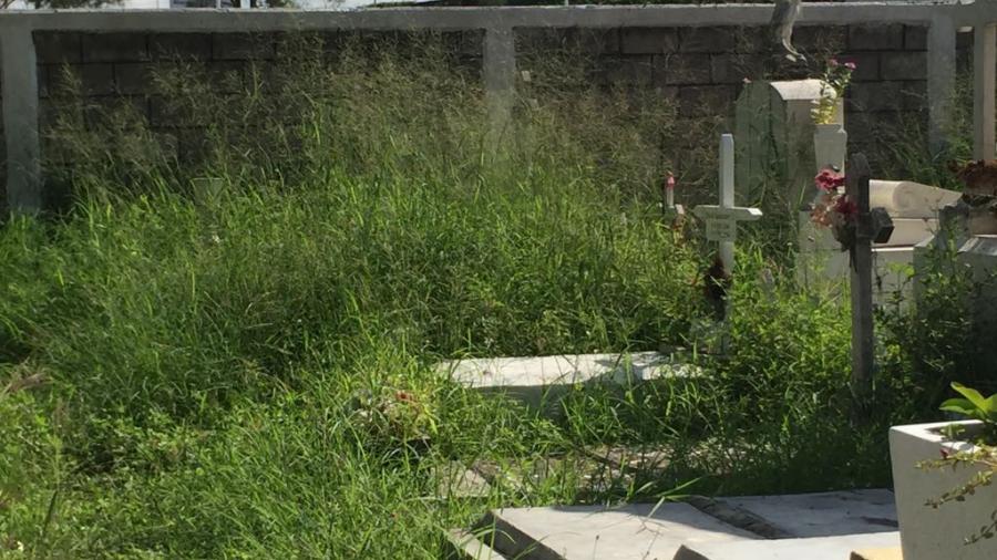 Refuerzan acciones para prevenir el dengue