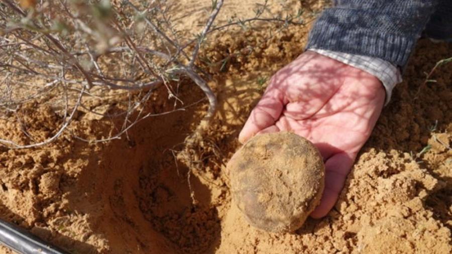 Explosión en mina deja 13 muertos en Siria