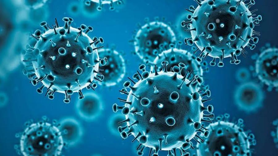 4 muertes por influenza en Tamaulipas: Reynosa encabeza los casos