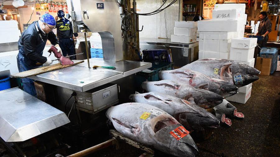 M&eacute;xico pierde fallo en OMC por reglas de mercado de EU sobre at&uacute;n