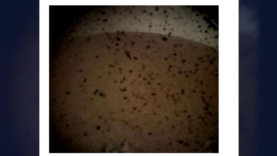 Así luce la primer foto de Marte de la sonda InSight