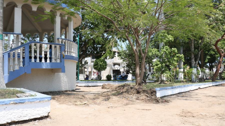Andrés Zorrilla pone en marcha trabajos de rescate en plaza de Arbol Grande