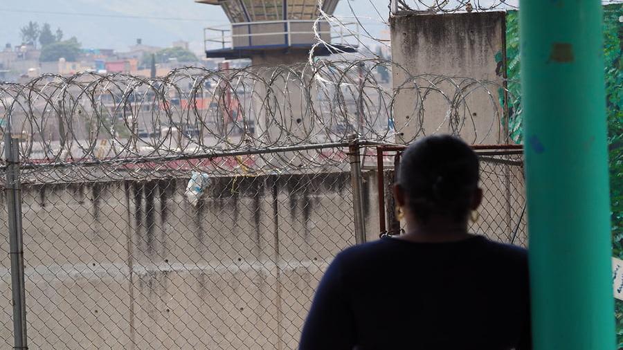 Suman 3 mil 359 preliberaciones y aministías en el país: SSPC