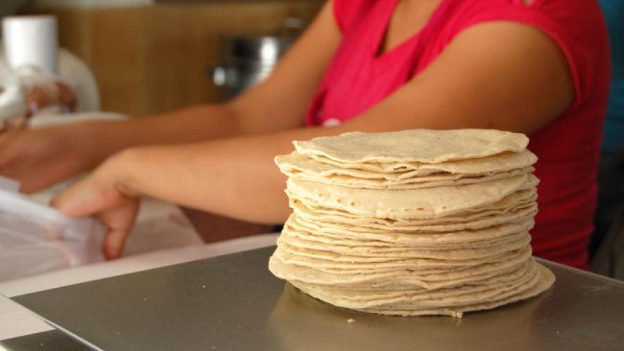 Alza en tortilla podría alcanzar los 17 pesos el kilo