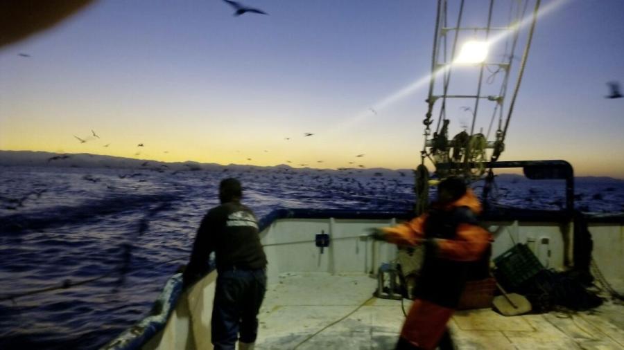 Asegura Profepa y Semar tres embarcaciones mayores por pesca ilegal