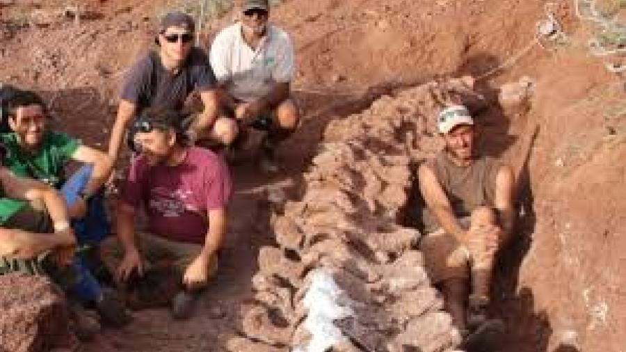 En Argentina, descubren dinosaurio de 98 millones de años