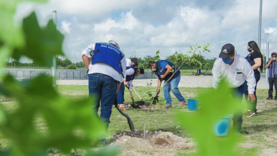 Arranca reforestación “Sembrando vida” del Gobierno de Tamaulipas