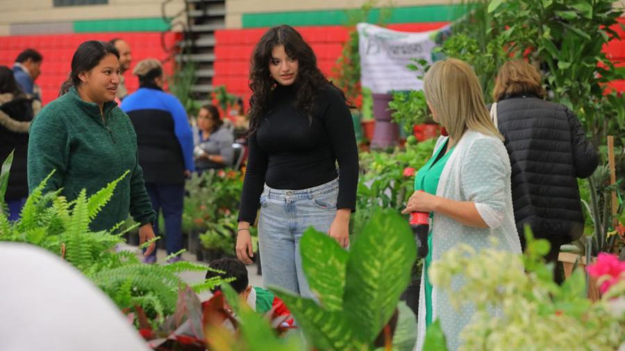 Llevar&aacute; a cabo gobierno municipal tercera edici&oacute;n de expo "Tu jard&iacute;n y artesan&iacute;as"