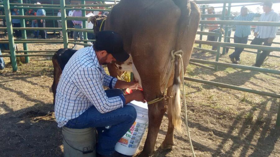 Fomentan capacitación a productores de leche 