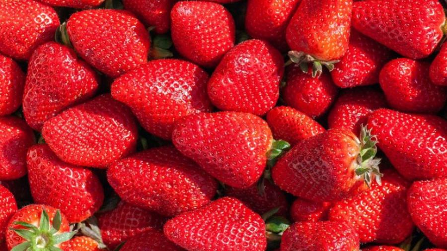 Alerta EU sobre brote de hepatitis A en fresas cultivadas en México