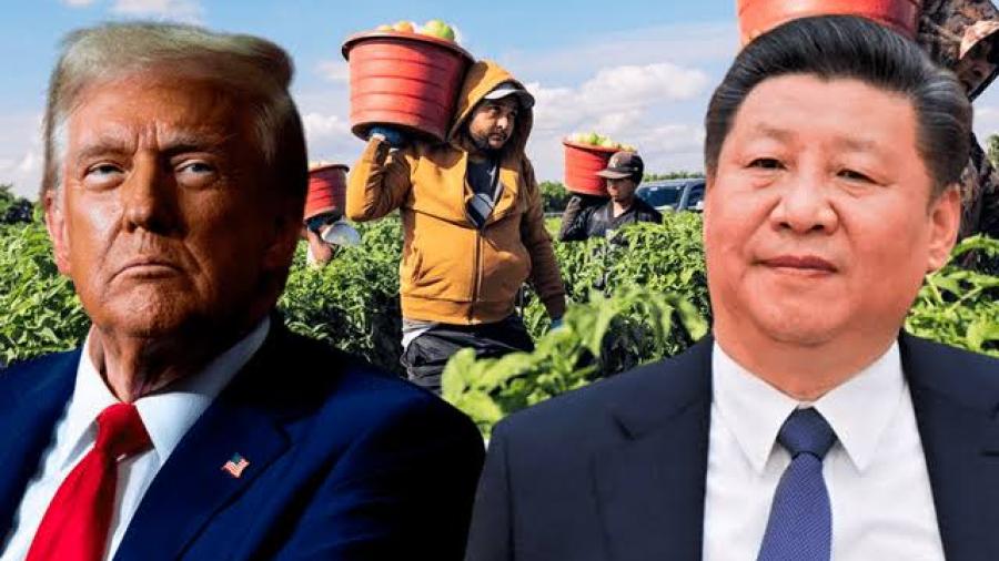 China acusa a EU de “proteccionismo rampante” por aranceles agrícolas