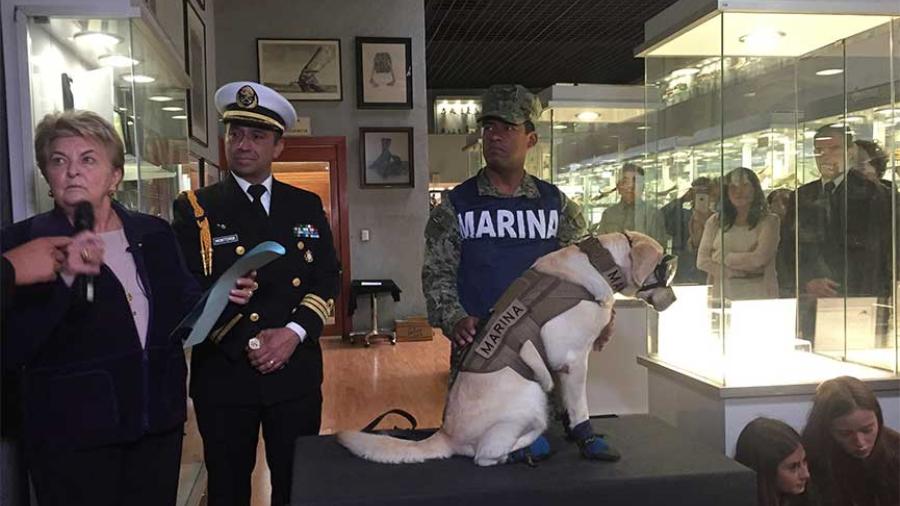 Frida la perrita dona sus botas a un museo