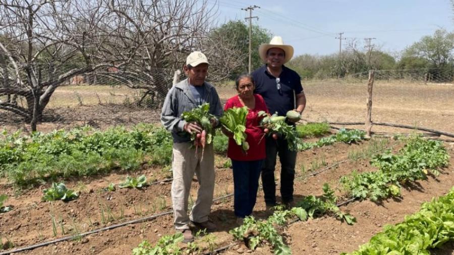 Fomenta Programa de huertos de traspatio alimentación saludable y sostenible en comunidades rurales