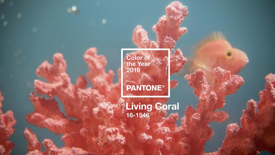 Living Coral será el Pantone del Año 2019