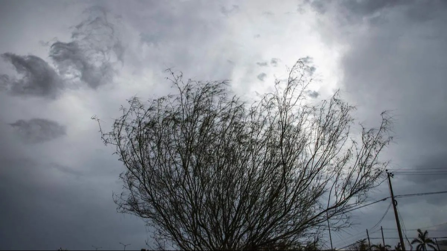 Pronóstico del tiempo para este jueves en Tamaulipas 