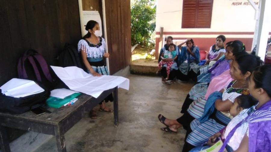 Fondo semillas crea iniciativa para combatir la deforestación