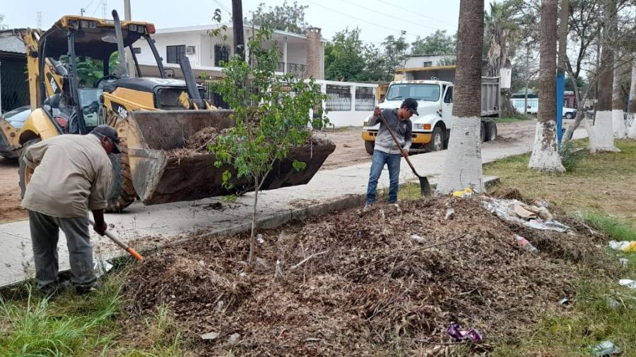 Recupera Ayuntamiento más 24 hectáreas de predios municipales 