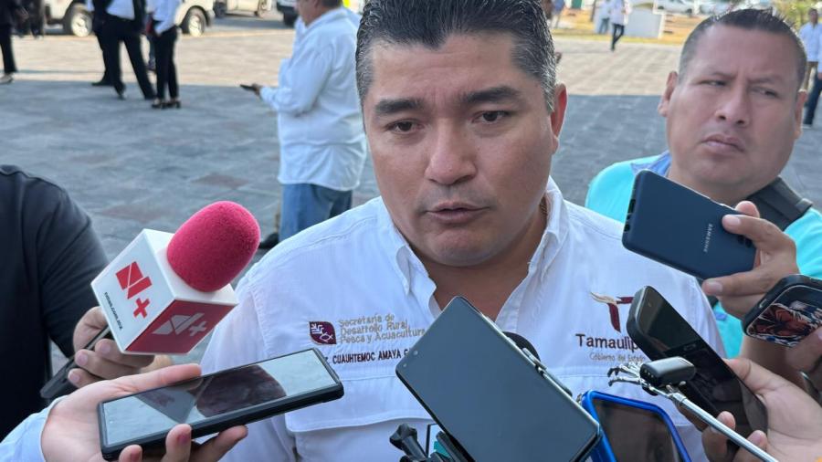 Estados Unidos amenaza con cerrar la frontera por ganado con gusano barrenador