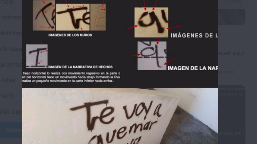 Fiscalía de Jalisco afirma que Luz Raquel  también se auto amenazó con pintas en su casa