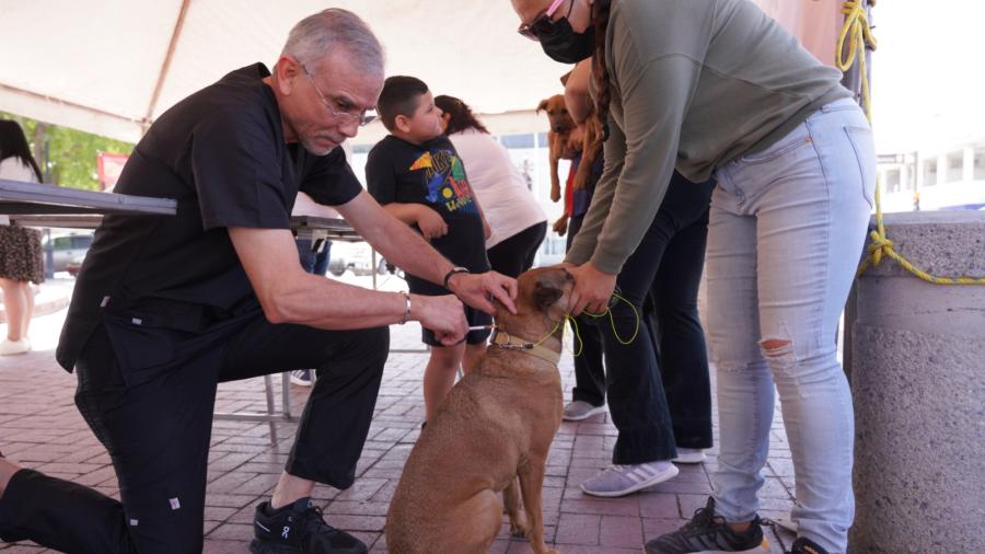 Responden ciudadanos a jornada de vacunación canina del Gobierno Municipal 