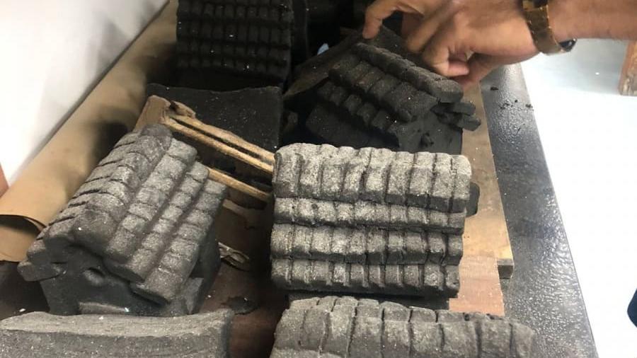 Impulsa Museo Tamux refugios para insectos y jardines polinizadores