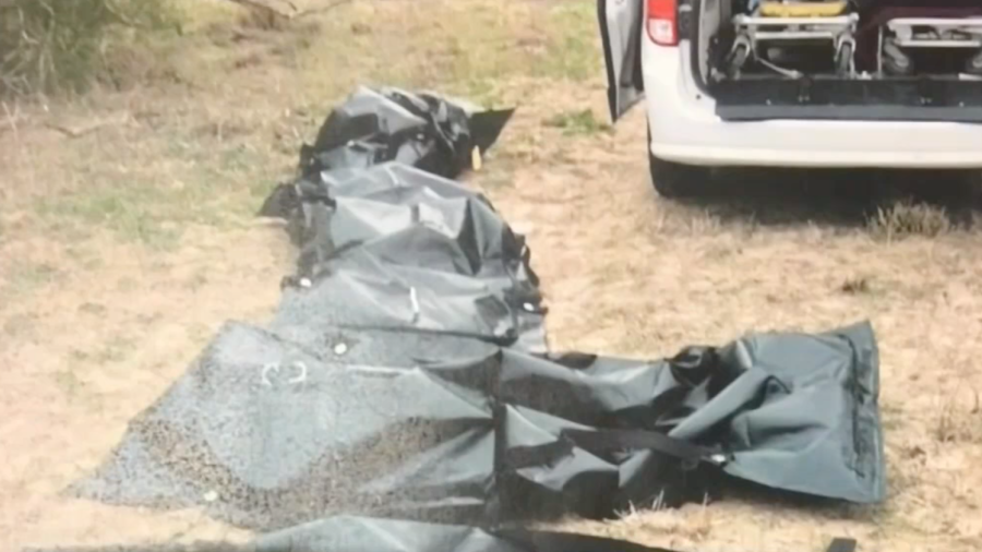 Encuentran cadáveres de indocumentados en el área de Falfurrias