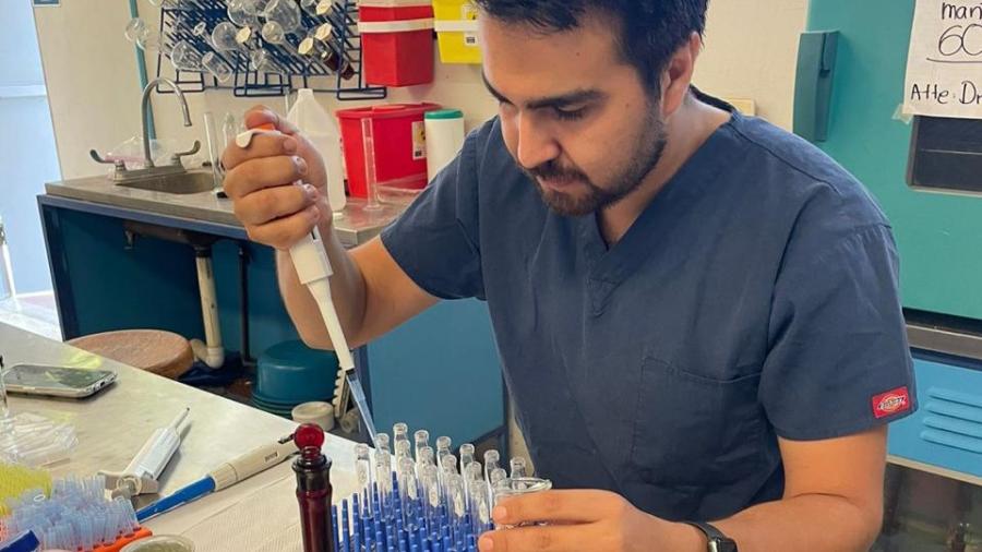 Desarrolla UAT bioinsecticida para combatir plagas que afectan la apicultura