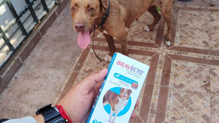 Refrenda Alcalde Carlos Peña compromiso para el cuidado animal