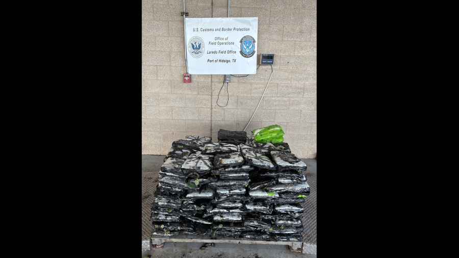 CBP decomisa más de 7.6 mdd en metanfetamina oculta en cargamento de rosas en Hidalgo