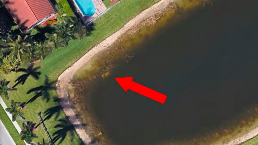 Gracias a Google Earth encuentran restos de hombre en Florida