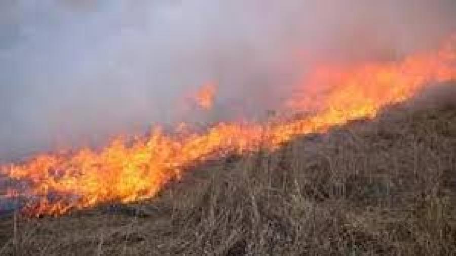 En aumento el número de incendios en Tamaulipas