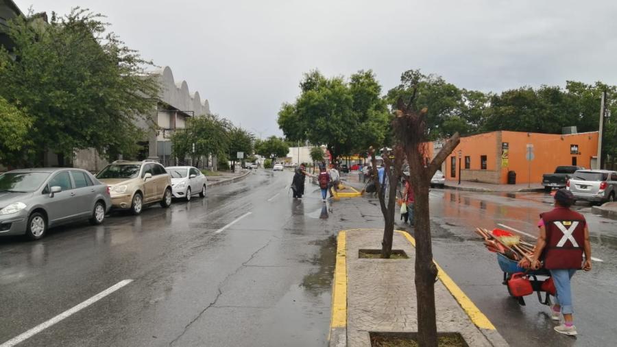 Realiza Espacios Públicos limpieza y reforestación en la Álvaro Obregón, acceso principal de EU a Matamoros
