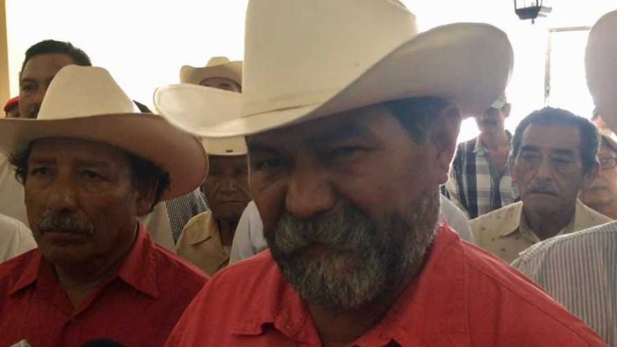 Citricultores requieren de fertilizante