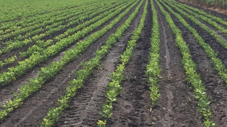 Productores del campo preocupados ante el retraso de apoyos del gobierno federal