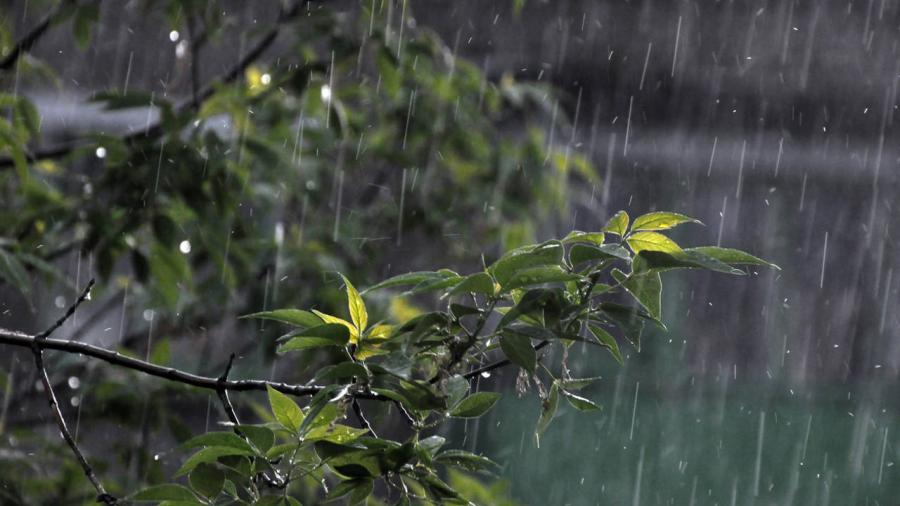¿Lluvia? Prepárate y conoce el pronóstico del tiempo para este miércoles