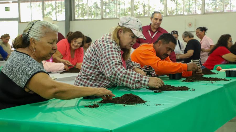 Inicia Gobierno de Nuevo Laredo cursos de Huertos Familiares para promover la autosuficiencia alimentaria